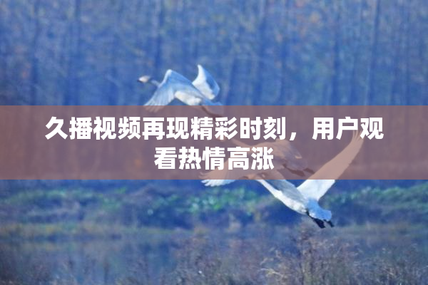 久播视频再现精彩时刻，用户观看热情高涨