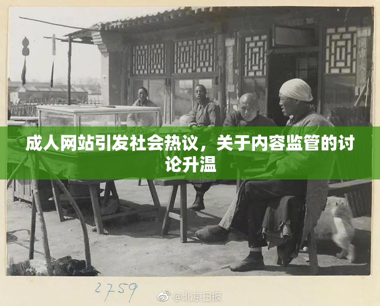 成人网站引发社会热议，关于内容监管的讨论升温