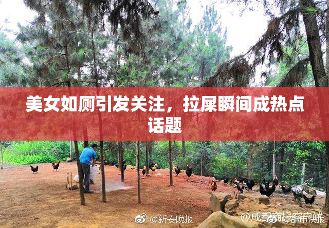 美女如厕引发关注，拉屎瞬间成热点话题