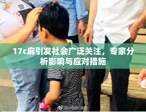 17c麻引发社会广泛关注，专家分析影响与应对措施