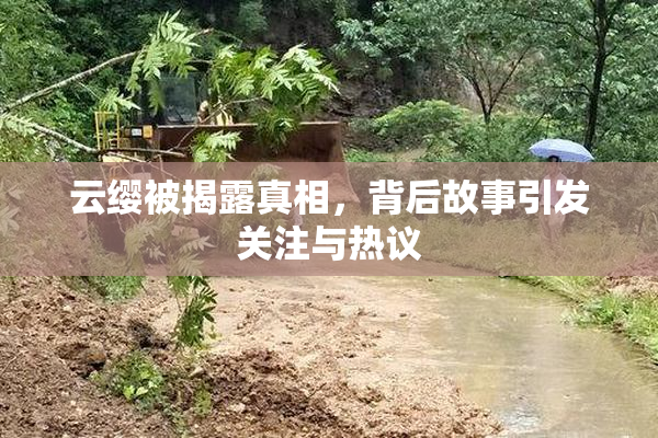 云缨被揭露真相，背后故事引发关注与热议