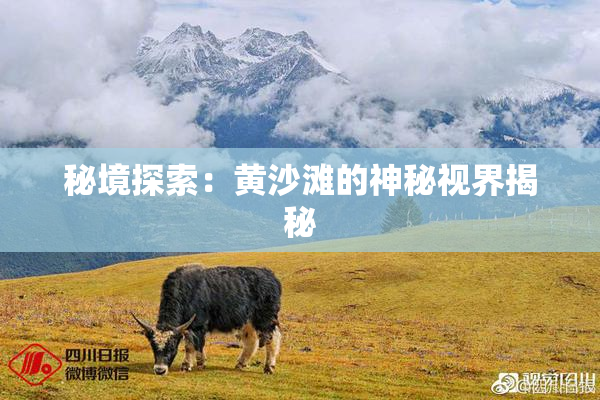 秘境探索：黄沙滩的神秘视界揭秘