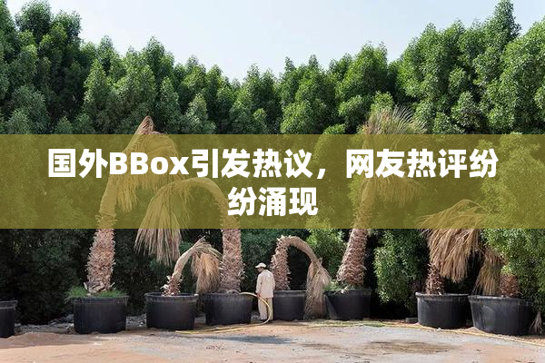 国外BBox引发热议，网友热评纷纷涌现