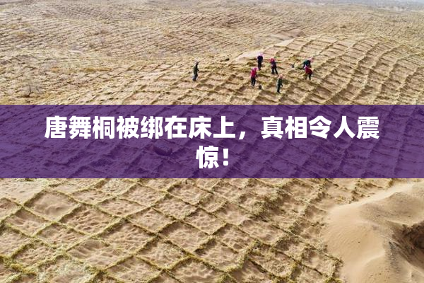 唐舞桐被绑在床上，真相令人震惊！