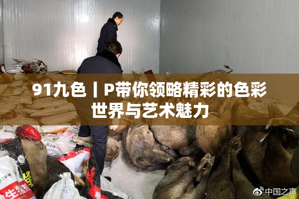 91九色丨P带你领略精彩的色彩世界与艺术魅力