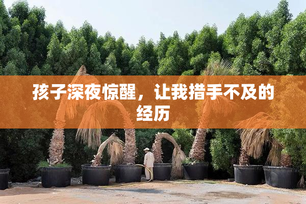 孩子深夜惊醒，让我措手不及的经历