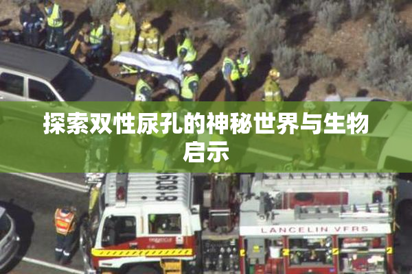 探索双性尿孔的神秘世界与生物启示