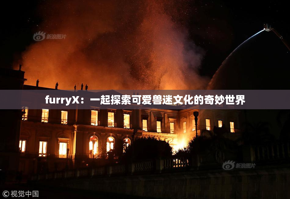 furryX：一起探索可爱兽迷文化的奇妙世界