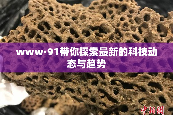 www·91带你探索最新的科技动态与趋势