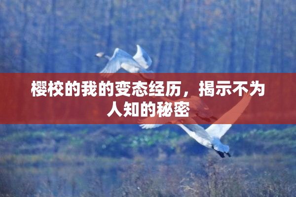 樱校的我的变态经历，揭示不为人知的秘密