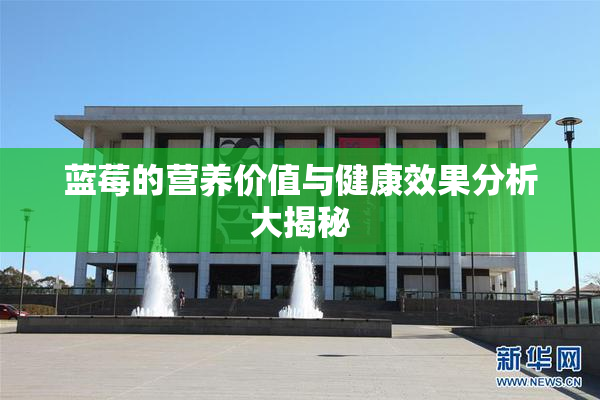 蓝莓的营养价值与健康效果分析大揭秘