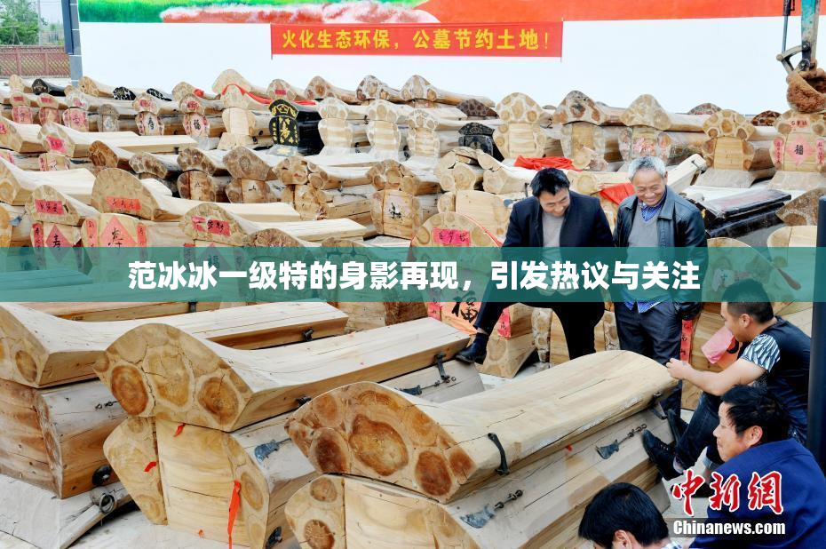 范冰冰一级特的身影再现，引发热议与关注