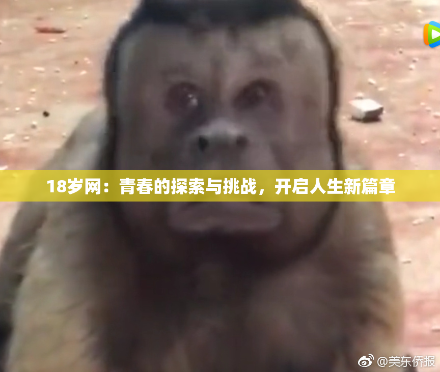 18岁网：青春的探索与挑战，开启人生新篇章