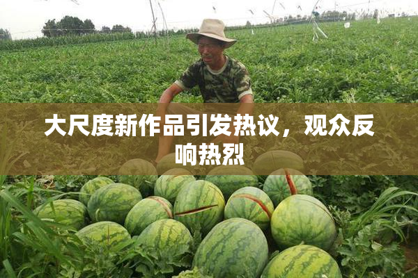 大尺度新作品引发热议，观众反响热烈