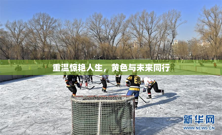 重温惊艳人生，黄色与未来同行
