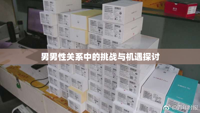 男男性关系中的挑战与机遇探讨