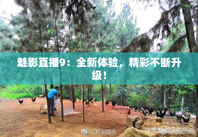 魅影直播9：全新体验，精彩不断升级！