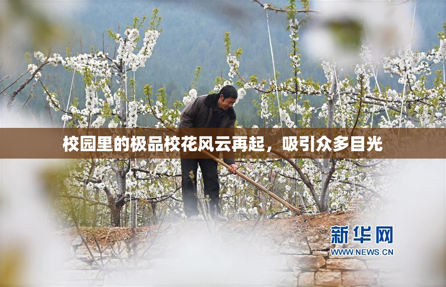 校园里的极品校花风云再起，吸引众多目光
