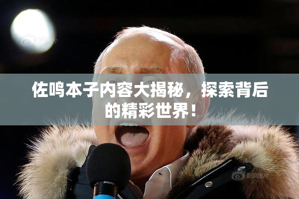 佐鸣本子内容大揭秘，探索背后的精彩世界！