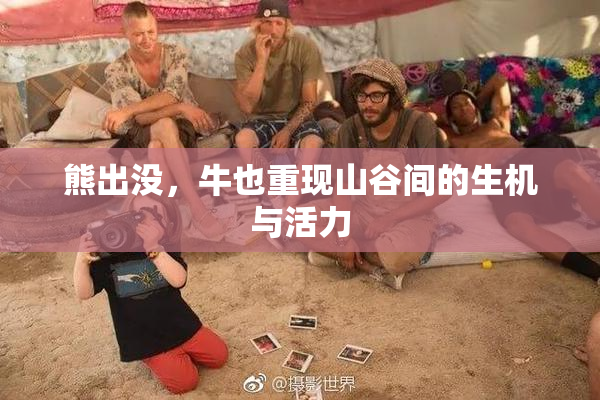 熊出没，牛也重现山谷间的生机与活力