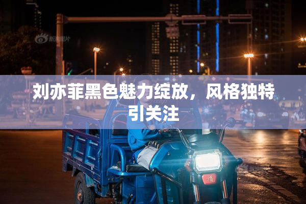 刘亦菲黑色魅力绽放，风格独特引关注
