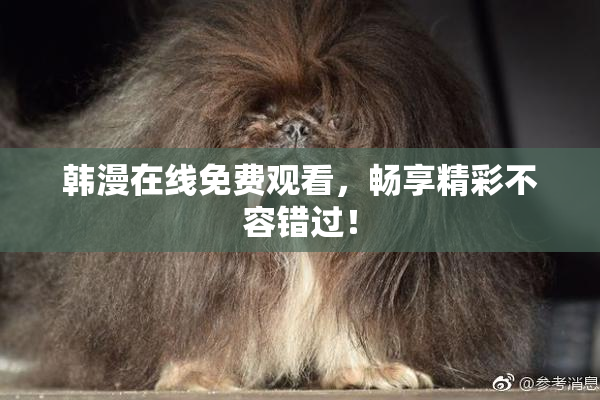 韩漫在线免费观看，畅享精彩不容错过！