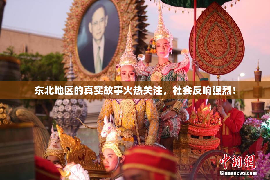 东北地区的真实故事火热关注，社会反响强烈！