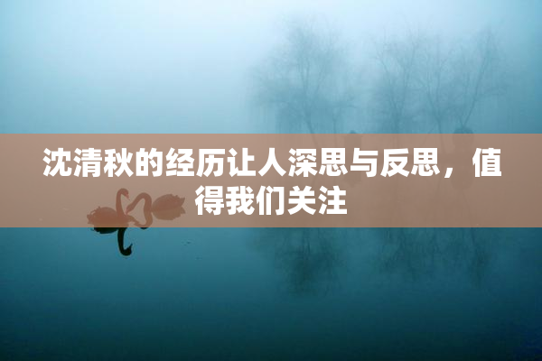 沈清秋的经历让人深思与反思，值得我们关注