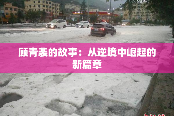 顾青裴的故事：从逆境中崛起的新篇章