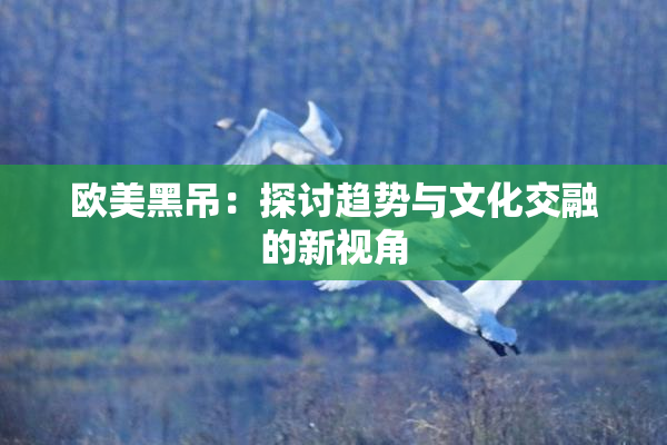 欧美黑吊：探讨趋势与文化交融的新视角