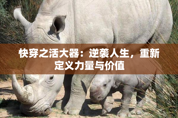 快穿之活大器：逆袭人生，重新定义力量与价值