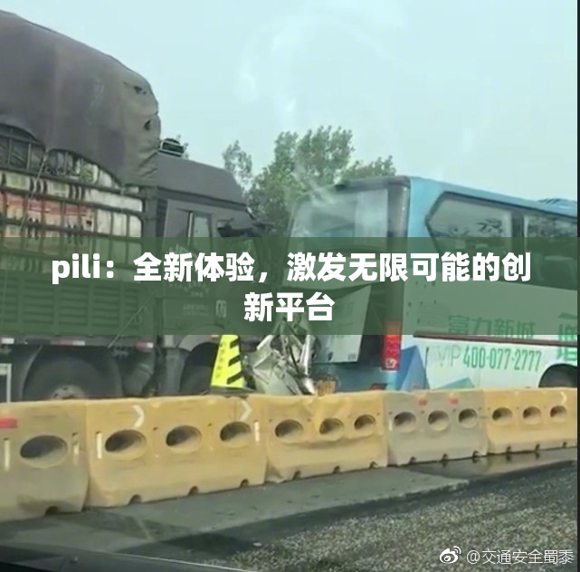 pili：全新体验，激发无限可能的创新平台