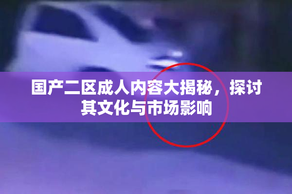 国产二区成人内容大揭秘，探讨其文化与市场影响