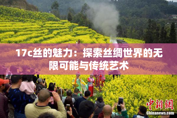 17c丝的魅力：探索丝绸世界的无限可能与传统艺术