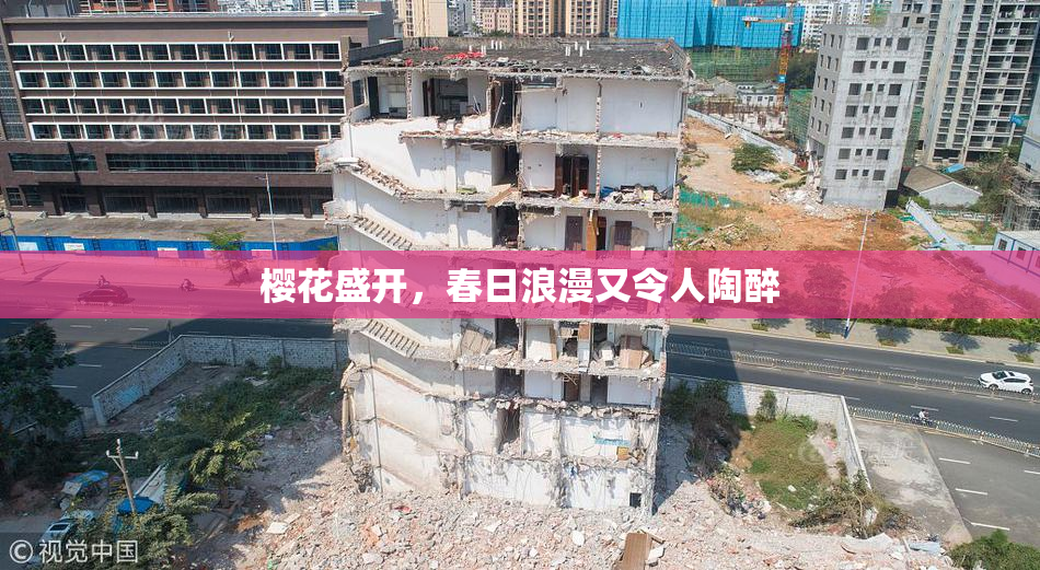 樱花盛开，春日浪漫又令人陶醉