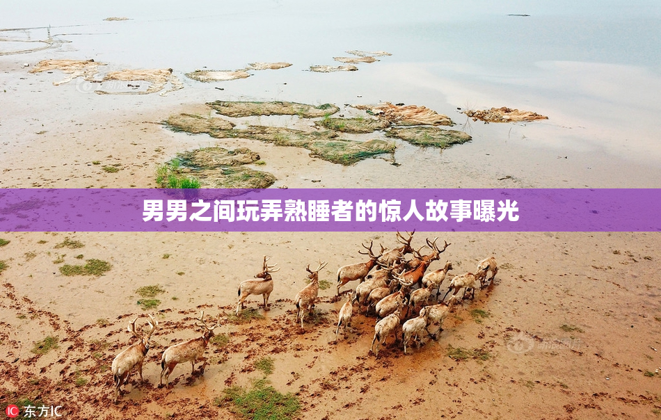 男男之间玩弄熟睡者的惊人故事曝光