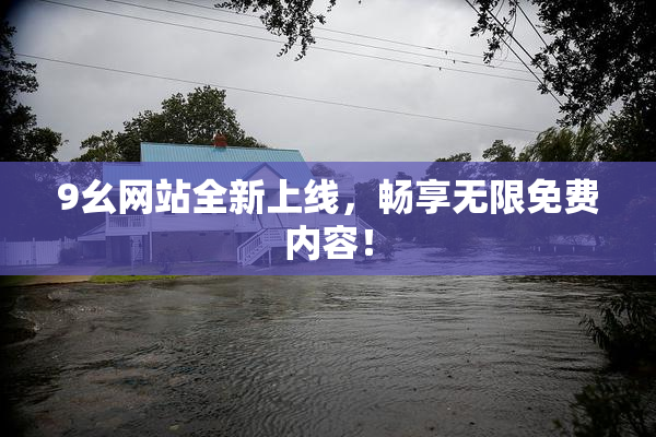 9幺网站全新上线，畅享无限免费内容！