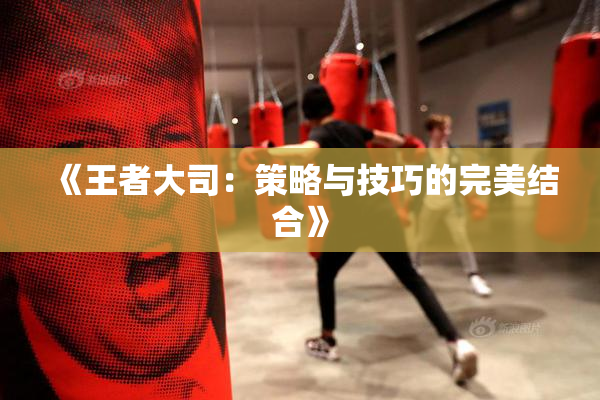 《王者大司：策略与技巧的完美结合》