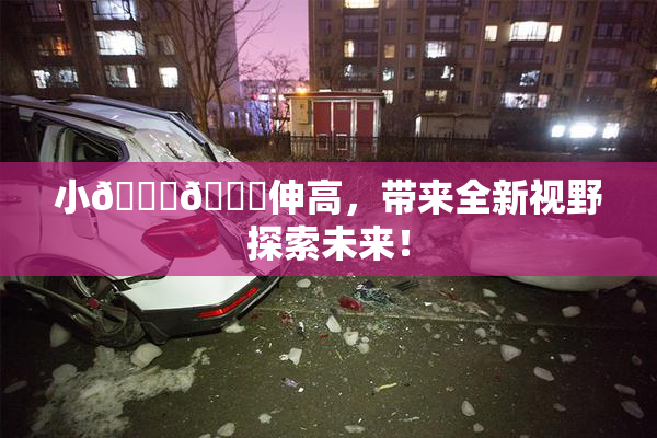 小🐔🐔伸高，带来全新视野探索未来！