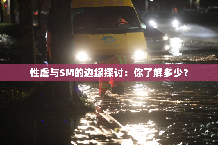 性虐与SM的边缘探讨：你了解多少？