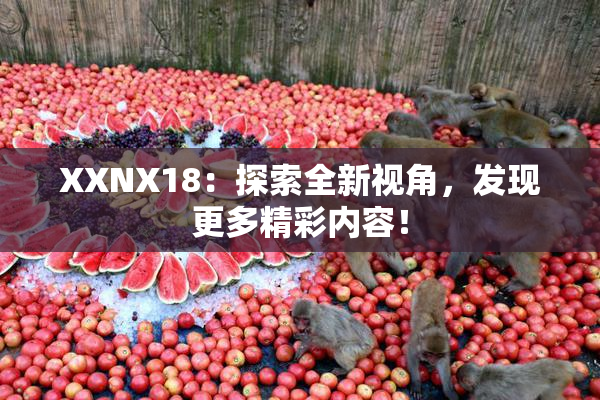 XXNX18：探索全新视角，发现更多精彩内容！