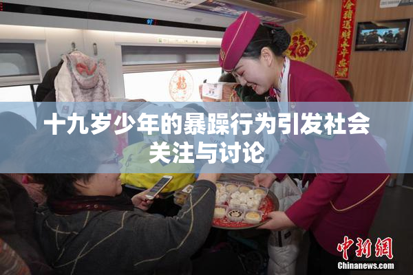十九岁少年的暴躁行为引发社会关注与讨论