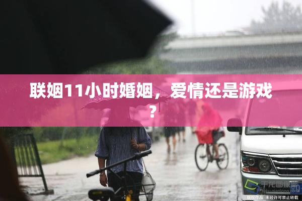 联姻11小时婚姻，爱情还是游戏？