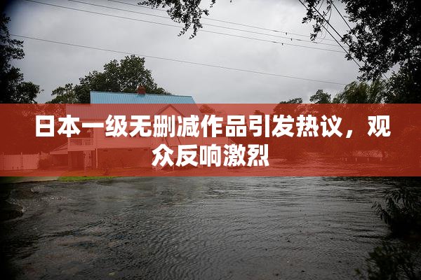 日本一级无删减作品引发热议，观众反响激烈
