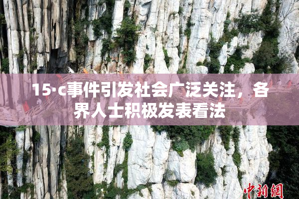 15·c事件引发社会广泛关注，各界人士积极发表看法