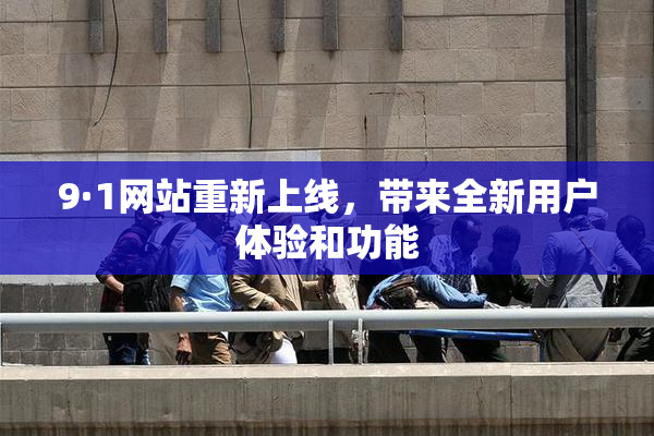 9·1网站重新上线，带来全新用户体验和功能