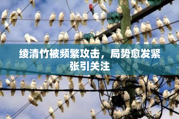 绫清竹被频繁攻击，局势愈发紧张引关注