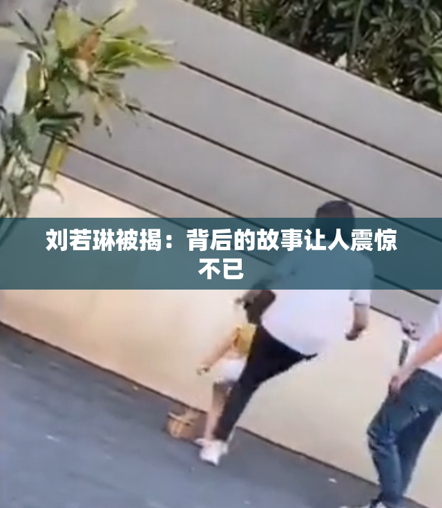 刘若琳被揭：背后的故事让人震惊不已