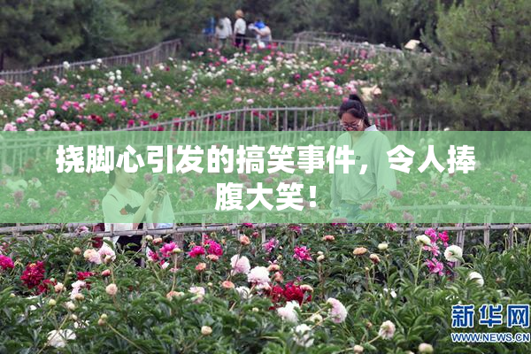 挠脚心引发的搞笑事件，令人捧腹大笑！