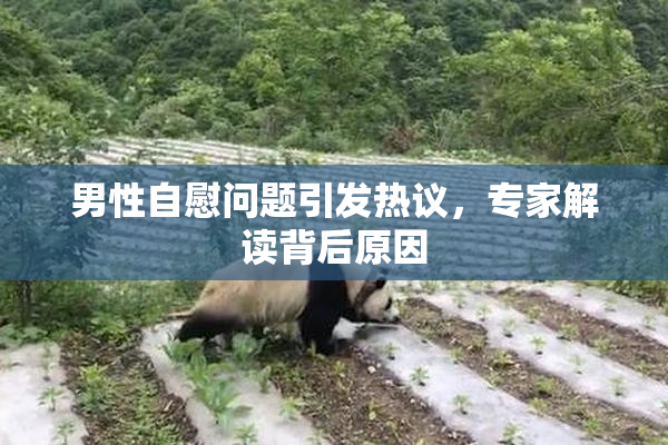 男性自慰问题引发热议，专家解读背后原因